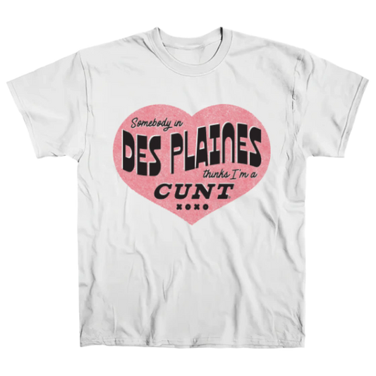 DES PLAINES